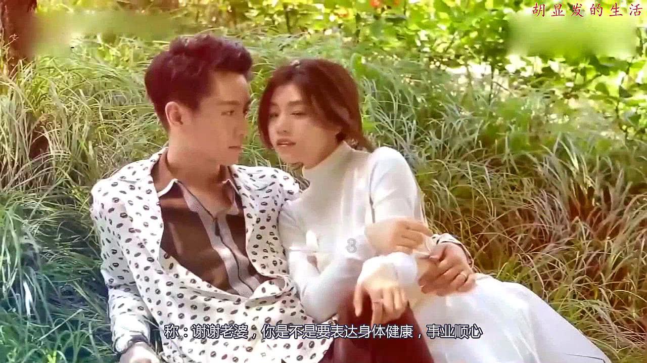 救援小橘猫