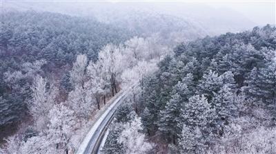 晶体管